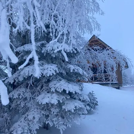 Nartorama Zieleniec Domek alpejski